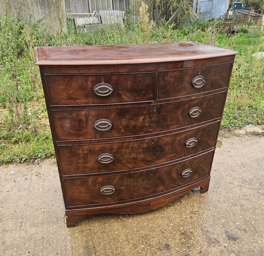 Large mahogany bow front chest of drawers - The Cotswold Emporium